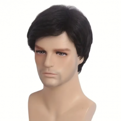 20 Pcs Daily Use Mens Short Synthetic Straight Layered Wigs 